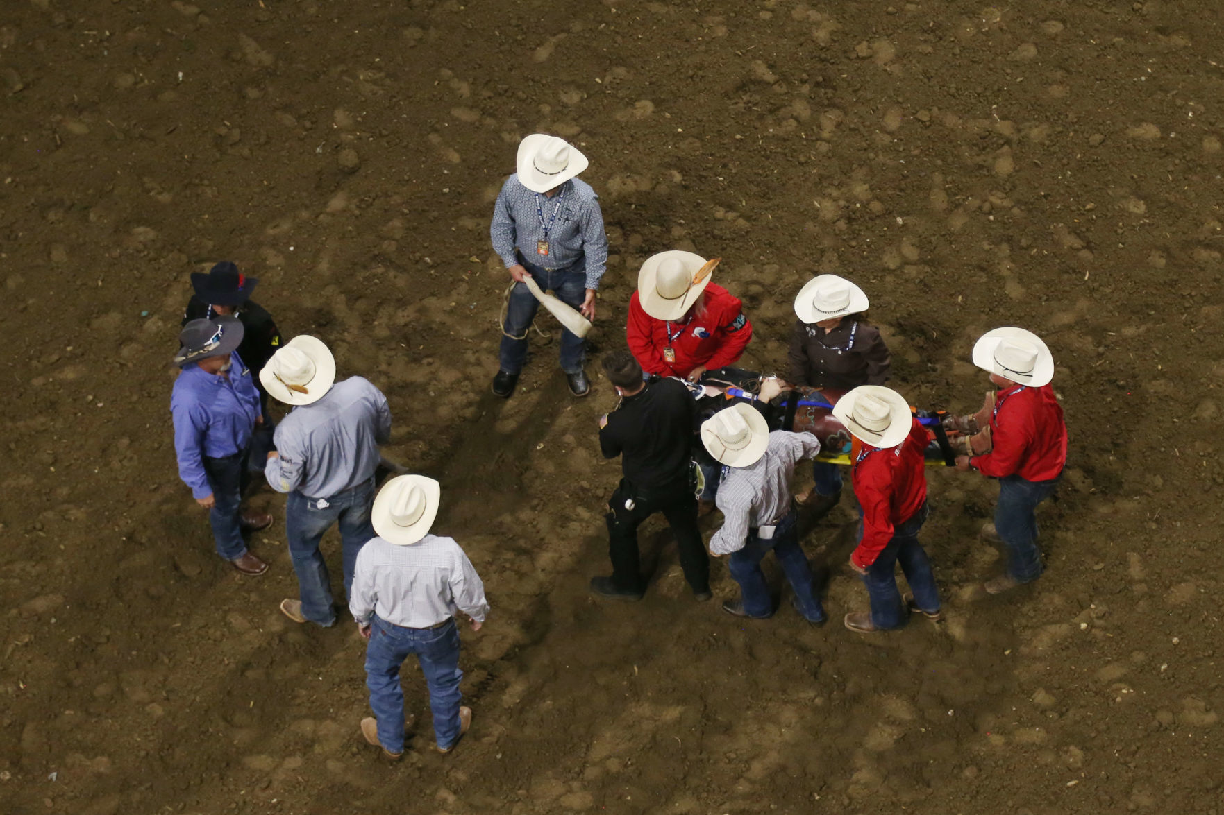 CNFR